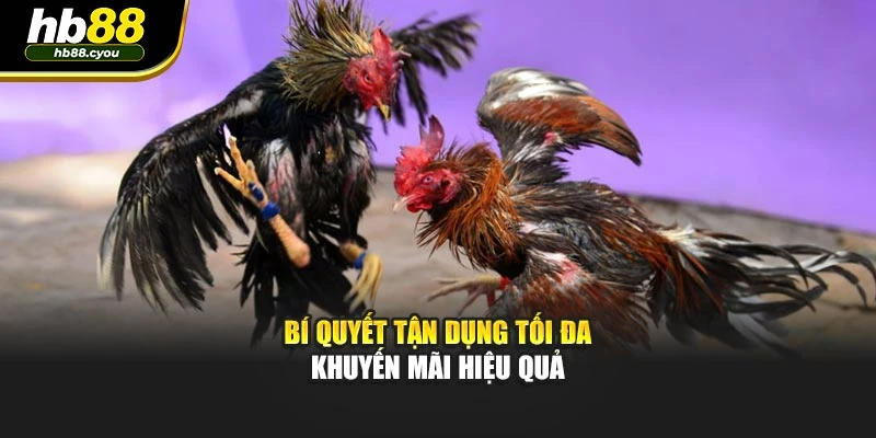 Bí quyết tận dụng tối đa khuyến mãi hiệu quả