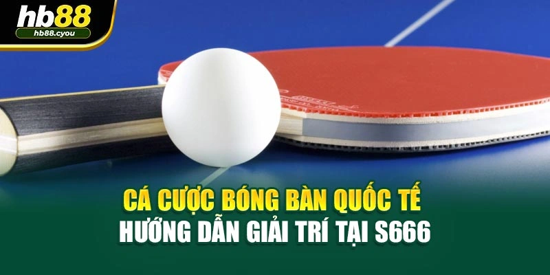 Cá Cược Bóng Bàn Quốc Tế - Hướng Dẫn Giải Trí Tại HB88