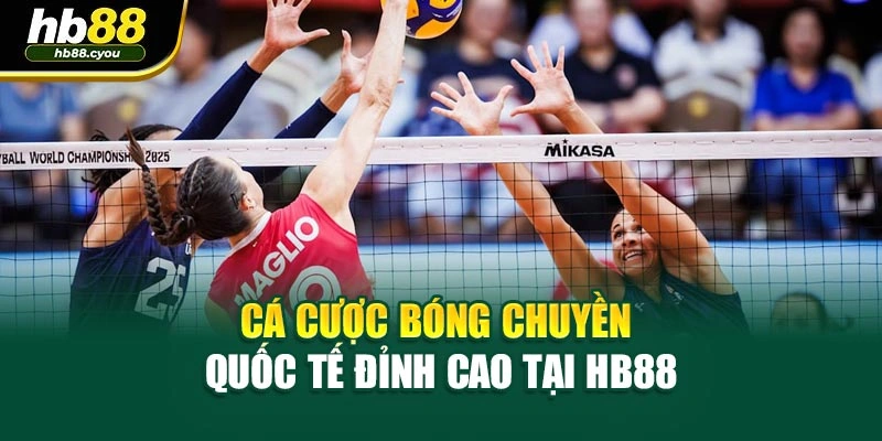 Cá cược bóng chuyền quốc tế đỉnh cao tại HB88