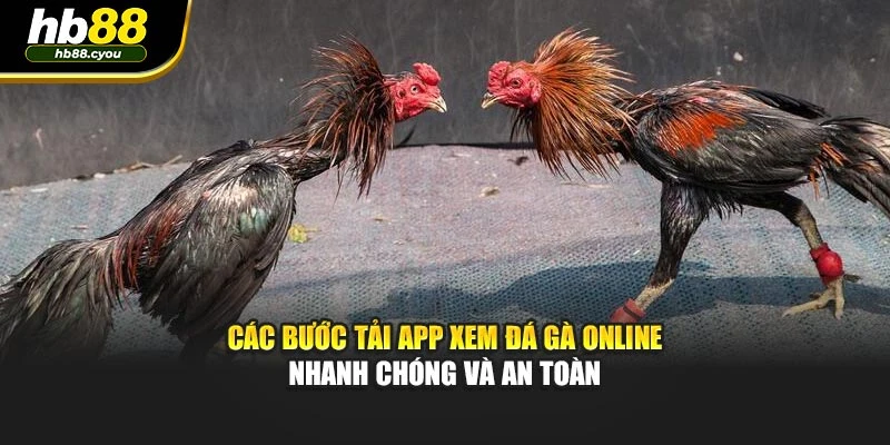 Các bước tải app xem đá gà online nhanh chóng và an toàn