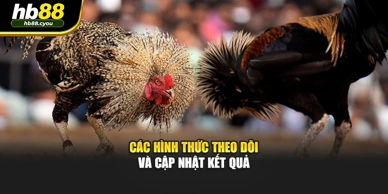 Các hình thức theo dõi và cập nhật kết quả