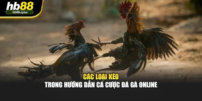 Các loại kèo trong hướng dẫn cá cược đá gà online
