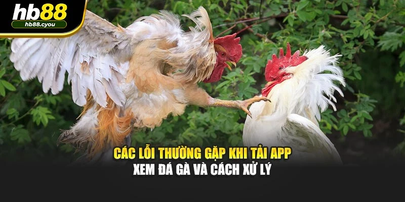 Các lỗi thường gặp khi tải app xem đá gà và cách xử lý