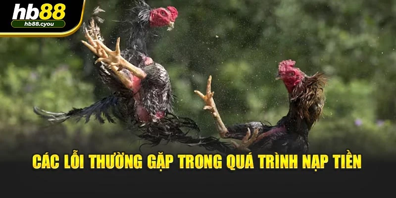 Các lỗi thường gặp trong quá trình nạp tiền