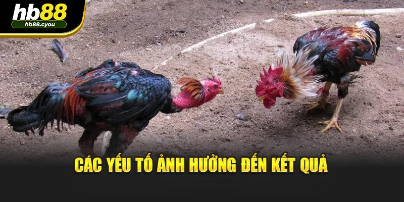 Các yếu tố ảnh hưởng đến kết quả