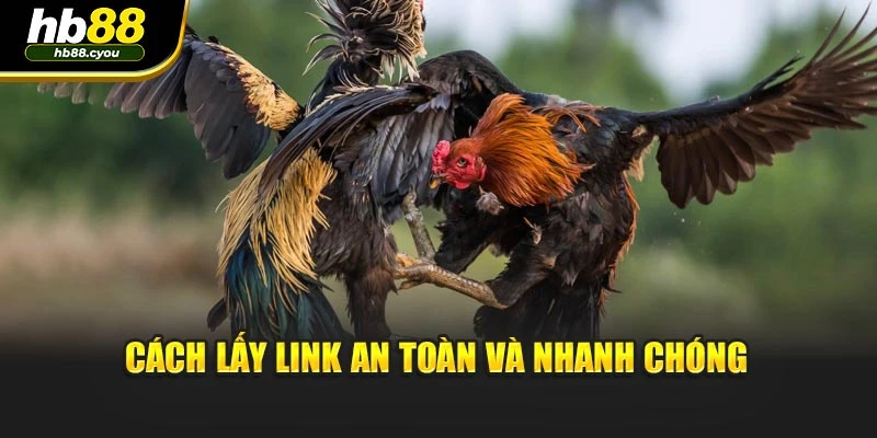 Cách lấy link an toàn và nhanh chóng