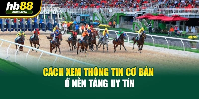 Cách xem thông tin cơ bản ở nền tảng uy tín
