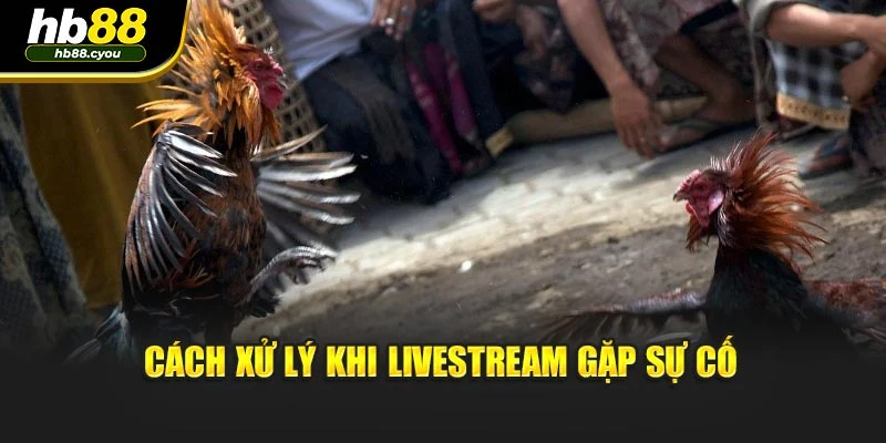 Cách xử lý khi livestream gặp sự cố