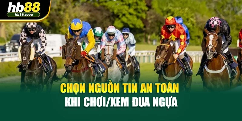 Chọn nguồn tin an toàn khi chơi/xem đua ngựa