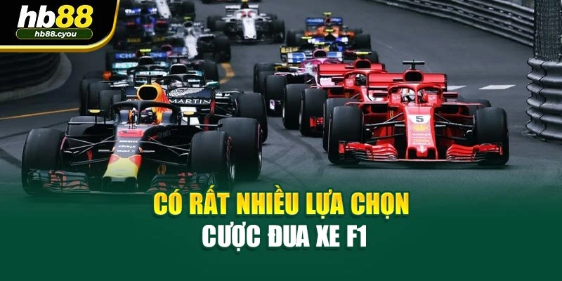 Có rất nhiều lựa chọn cược đua xe F1