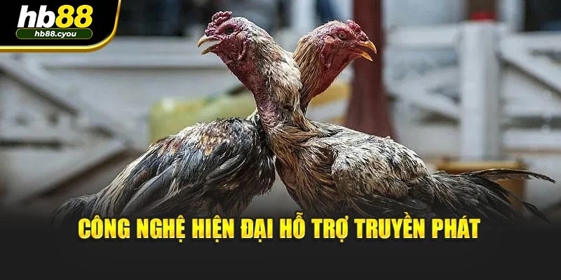 Công nghệ hiện đại hỗ trợ truyền phát