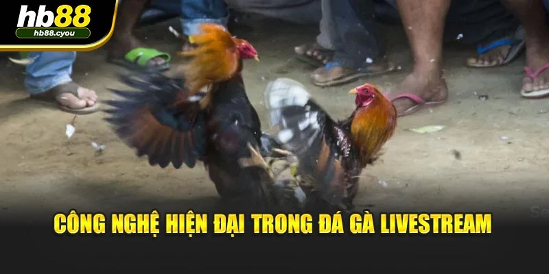 Công nghệ hiện đại trong đá gà livestream