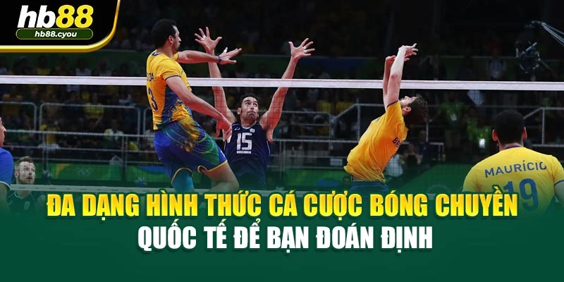 Đa dạng hình thức cá cược bóng chuyền quốc tế để bạn đoán định