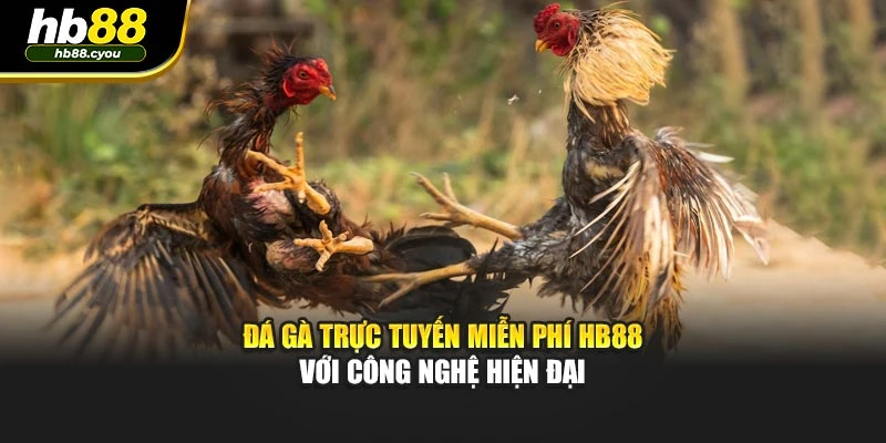 Đá Gà Trực Tuyến Miễn Phí HB88 Với Công Nghệ Hiện Đại