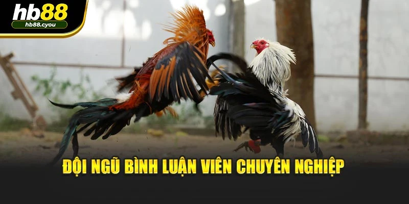 Đội ngũ bình luận viên chuyên nghiệp
