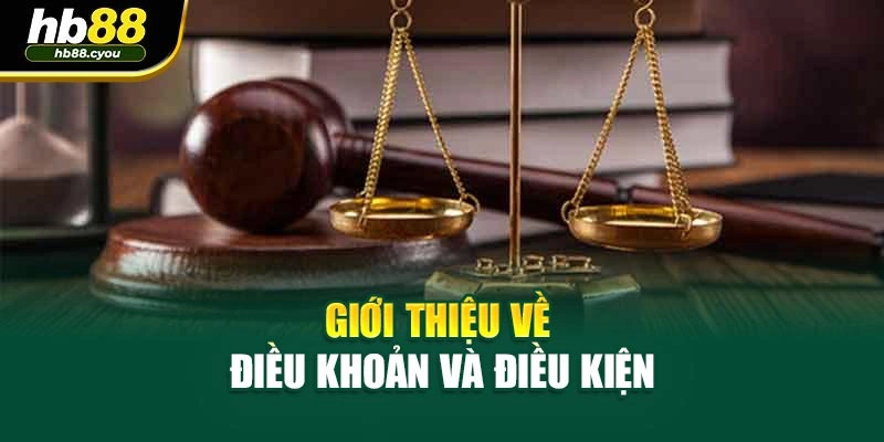 Giới thiệu về điều khoản và điều kiện