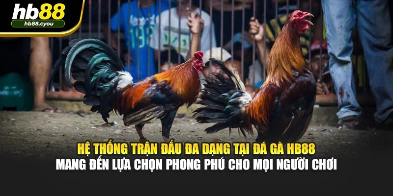 Hệ thống trận đấu đa dạng tại đá gà HB88 mang đến lựa chọn phong phú cho mọi người chơi