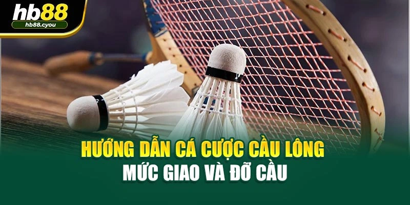 Hướng dẫn cá cược cầu lông - Mức giao và đỡ cầu