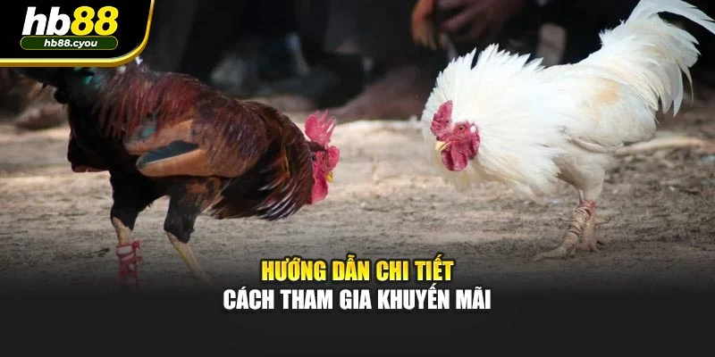 Hướng dẫn chi tiết cách tham gia khuyến mãi