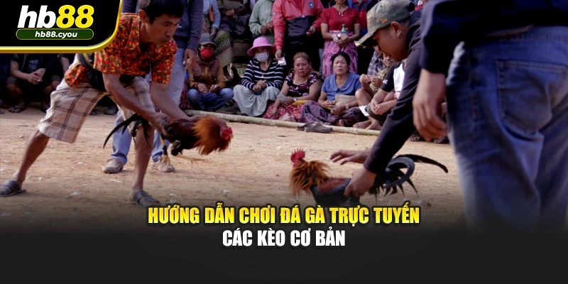 Hướng dẫn chơi đá gà trực tuyến các kèo cơ bản