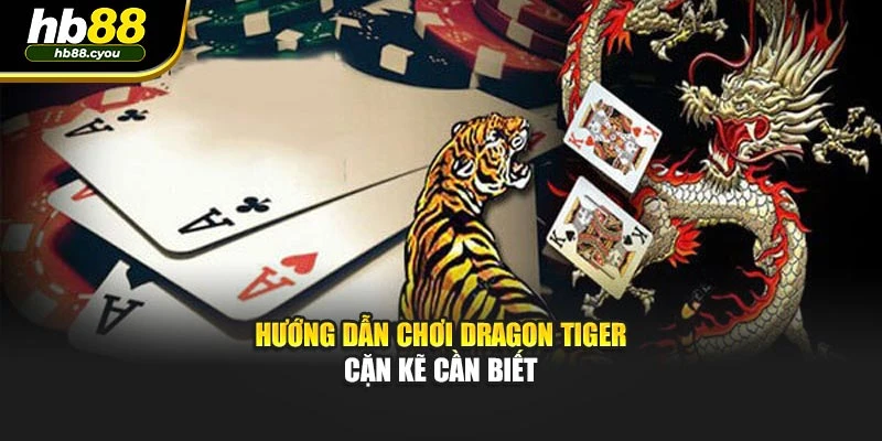 Hướng dẫn chơi Dragon Tiger cặn kẽ cần biết