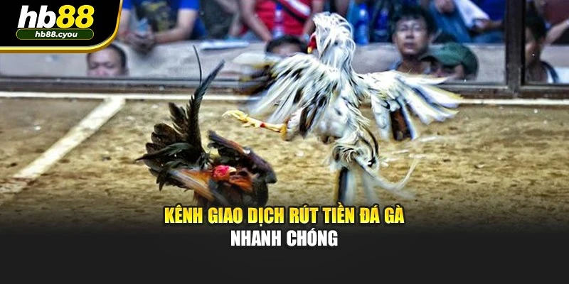 Kênh giao dịch rút tiền đá gà nhanh chóng