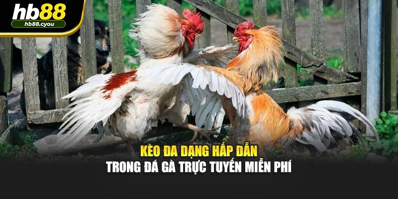 Kèo đa dạng hấp dẫn trong đá gà trực tuyến miễn phí