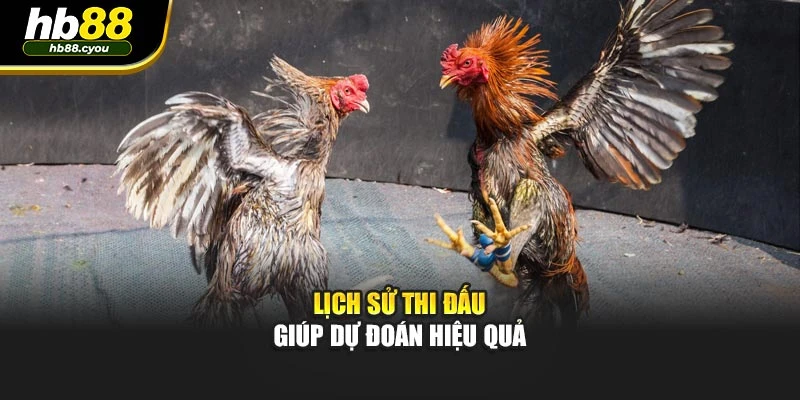 Lịch sử thi đấu giúp dự đoán hiệu quả