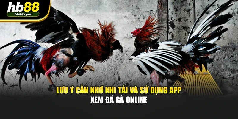 Lưu ý cần nhớ khi tải và sử dụng app xem đá gà online