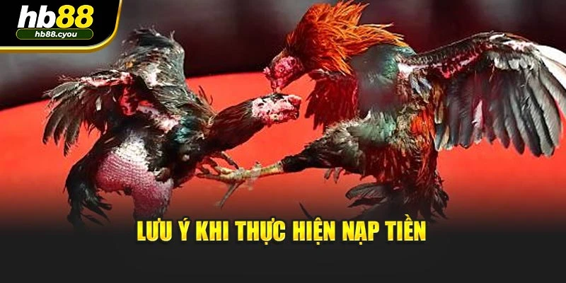Lưu ý khi thực hiện nạp tiền