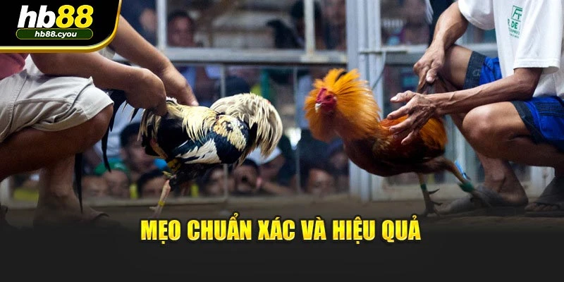 Mẹo chuẩn xác và hiệu quả