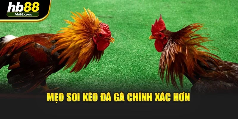 Mẹo soi kèo đá gà chính xác hơn