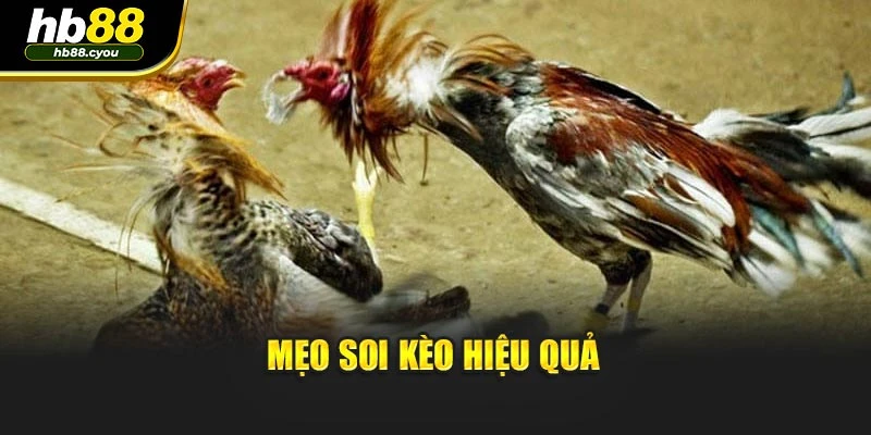 Mẹo soi kèo hiệu quả
