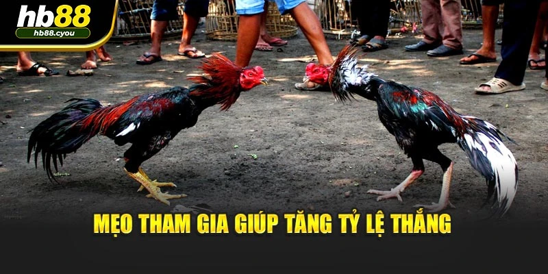 Mẹo tham gia giúp tăng tỷ lệ thắng
