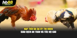 Nạp Tiền Đá Gà Uy Tín HB88 - Giao Dịch An Toàn Và Tốc Độ Cao
