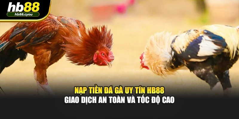 Nạp Tiền Đá Gà Uy Tín HB88 - Giao Dịch An Toàn Và Tốc Độ Cao