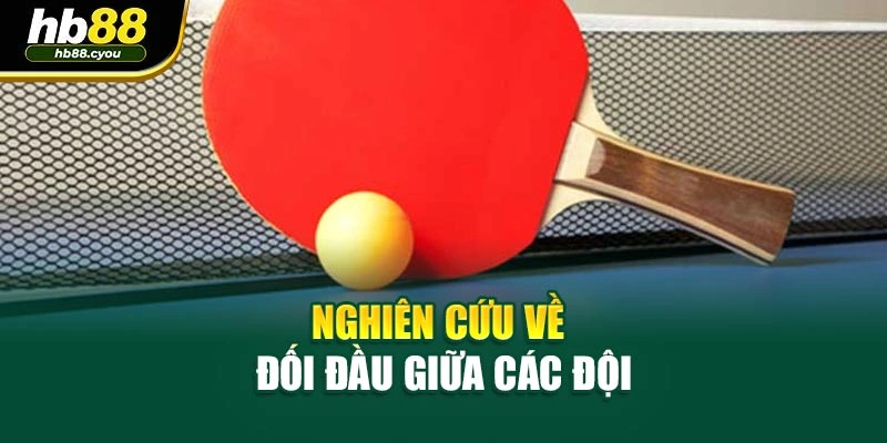 Nghiên cứu về đối đầu giữa các đội