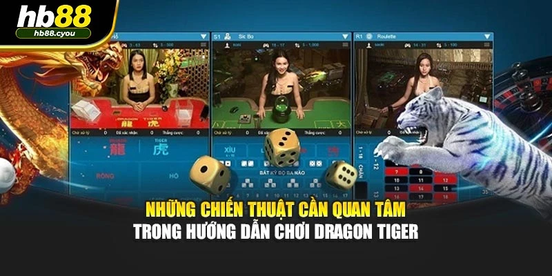 Những chiến thuật cần quan tâm trong hướng dẫn chơi Dragon Tiger