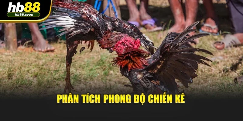 Phân tích phong độ chiến kê