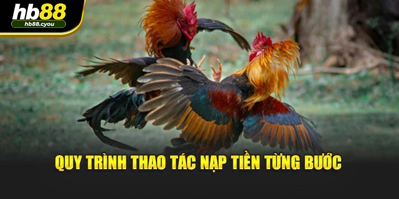 Quy trình thao tác nạp tiền từng bước