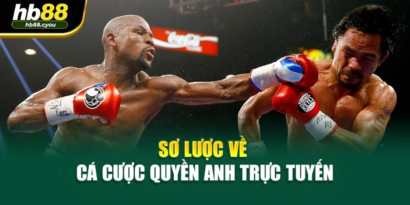 Sơ lược về cá cược quyền Anh trực tuyến