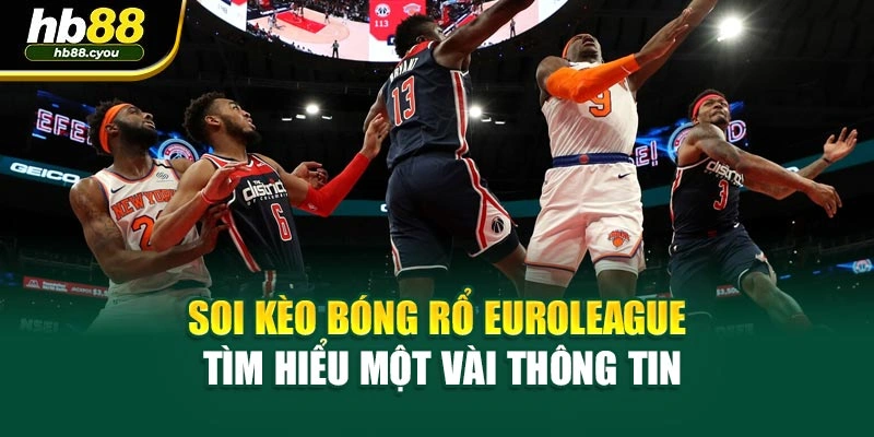 Soi kèo bóng rổ Euroleague - Tìm hiểu một vài thông tin