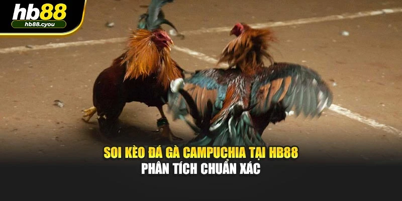 Soi Kèo Đá Gà Campuchia Tại HB88 – Phân Tích Chuẩn Xác