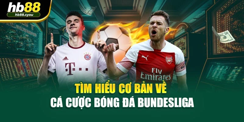 Tìm hiểu cơ bản về cá cược bóng đá Bundesliga