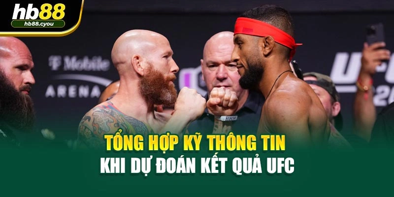Tổng hợp kỹ thông tin khi dự đoán kết quả UFC