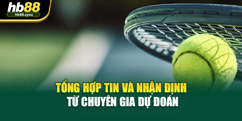 Tổng hợp tin và nhận định từ chuyên gia dự đoán