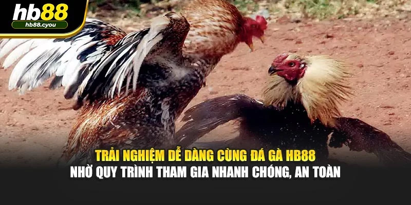 Trải nghiệm dễ dàng cùng đá gà HB88 nhờ quy trình tham gia nhanh chóng, an toàn