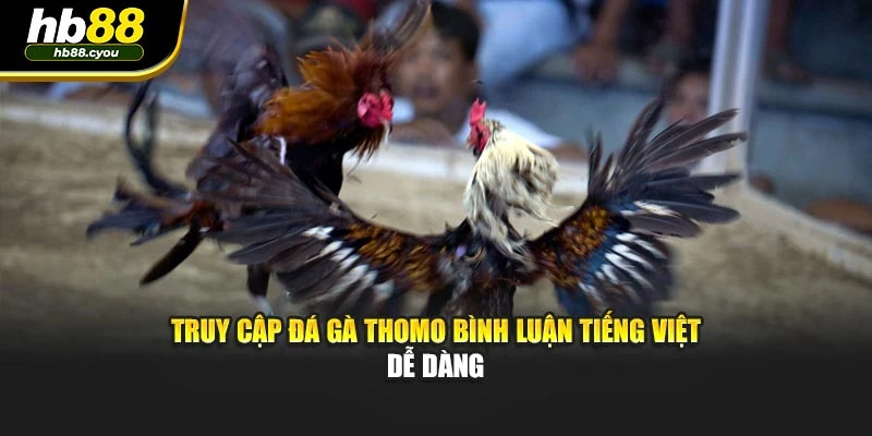 Truy cập đá gà Thomo bình luận tiếng Việt dễ dàng