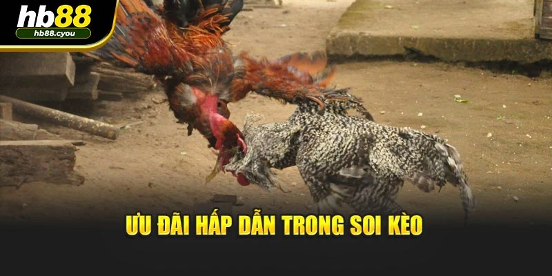 Ưu đãi hấp dẫn trong soi kèo