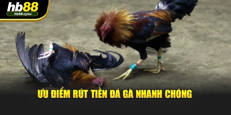 Ưu điểm rút tiền đá gà nhanh chóng